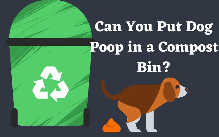 Can You Put Dog Poop in a Compost Bin?