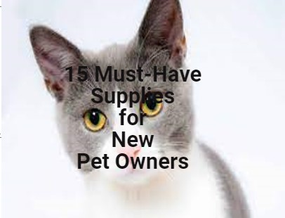 15 Must-Have Supplies for New Pet Owners